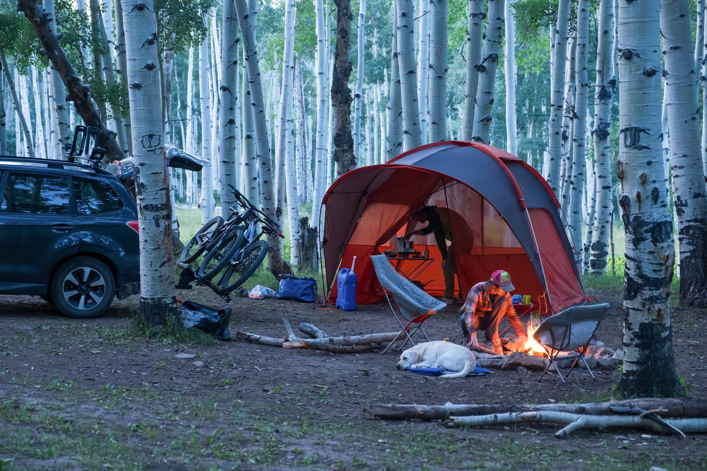 Voorkant 12 Voorkant -Kampeeruitrusting Verkoop 2024 CLP Shelters Tents 8.15.22